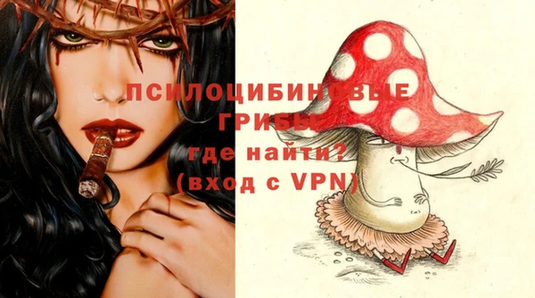 PSILOCYBIN Алексеевка