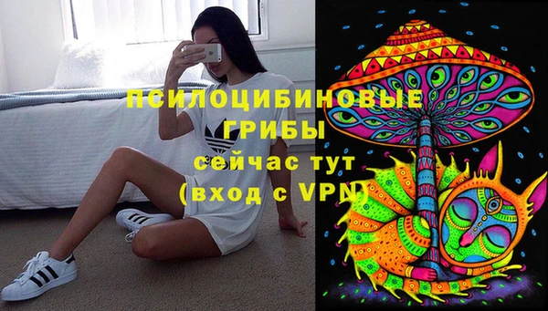 PSILOCYBIN Алексеевка
