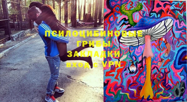 гидра Алзамай
