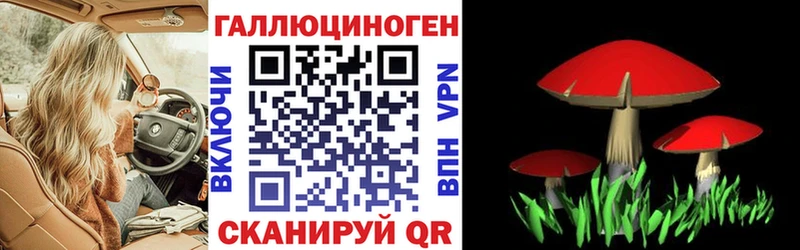 Галлюциногенные грибы Cubensis  Ишимбай 
