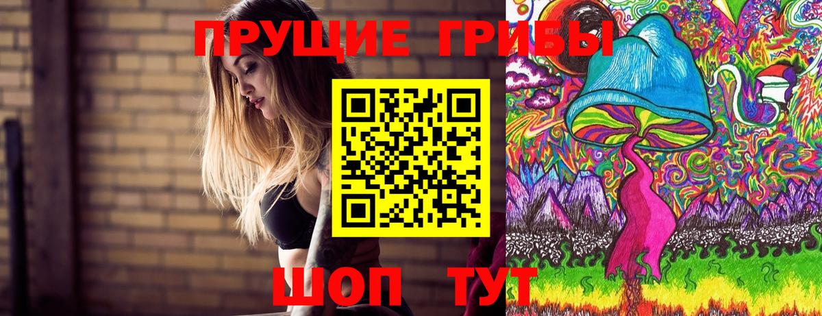 Псилоцибиновые грибы Psilocybe Ишимбай