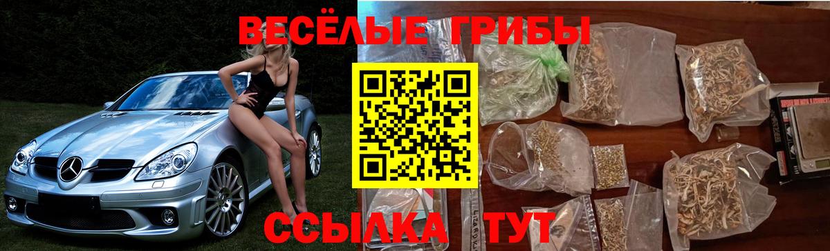 Галлюциногенные грибы Psilocybe  Вход с VPN  где купить наркоту  Ишимбай 
